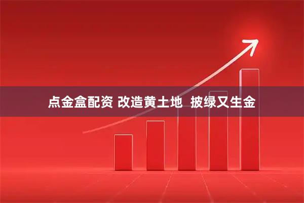 点金盒配资 改造黄土地  披绿又生金